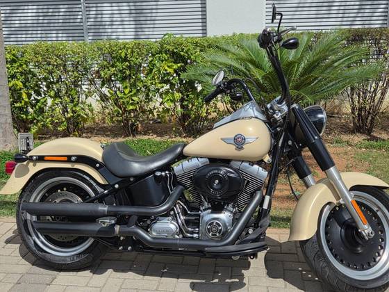 HARLEY-DAVIDSON SOFTAIL FAT BOY SPECIAL 